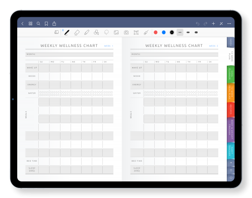 Best Digital Wellness Planner